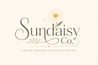 Sundaisy Co. - Home